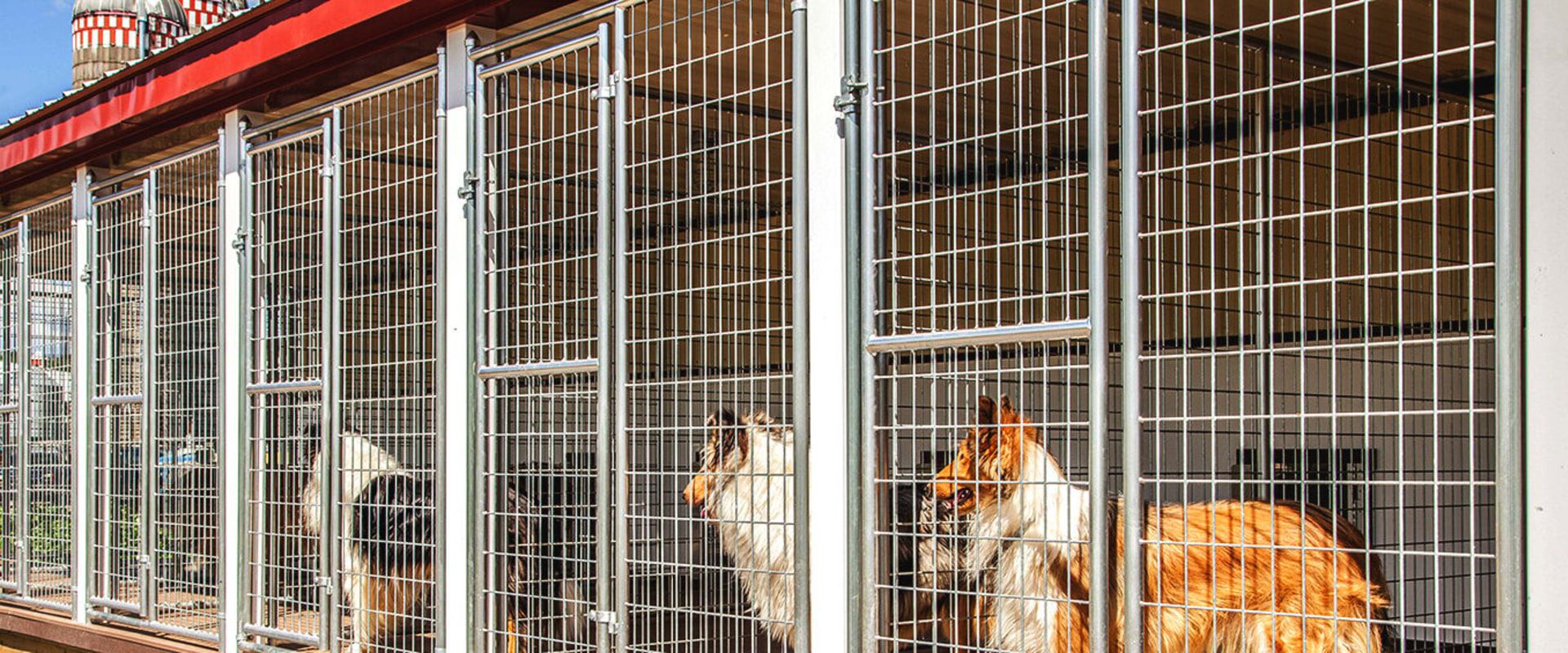 What is the average turnaround time for a dog kennel service?