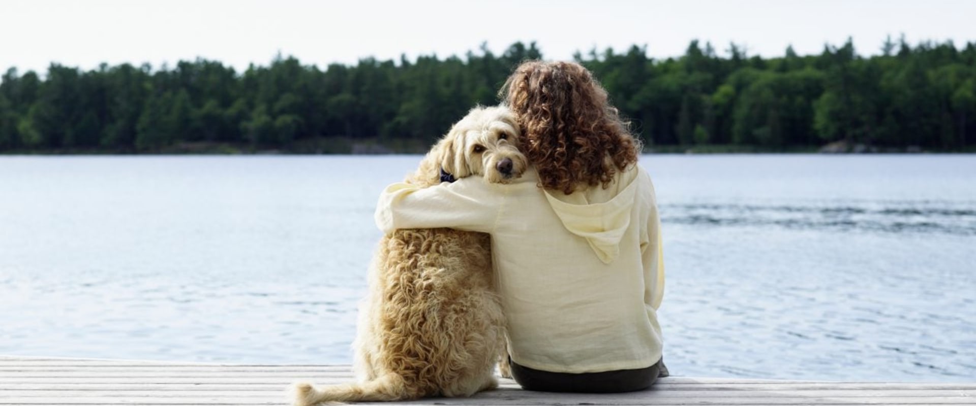Can you sue a kennel for kennel cough?