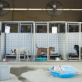 Are there any additional fees for medical care at a dog kennel service?