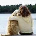 Can you sue a kennel for kennel cough?