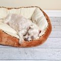 Ultimate Guide to Choosing the Perfect Bedding for Your Dog's Kennel