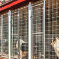 How much does it cost to use a dog kennel service?