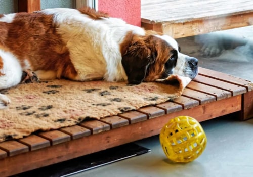 What are the benefits of using a dog kennel service?