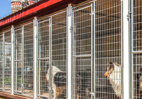 What is the average turnaround time for a dog kennel service?