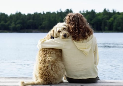 Can you sue a kennel for kennel cough?
