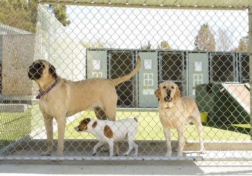Are there any additional fees associated with using a dog kennel service?