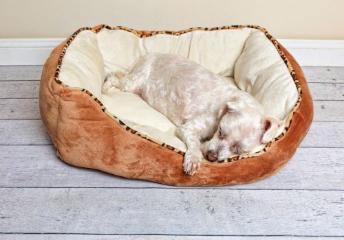 Ultimate Guide to Choosing the Perfect Bedding for Your Dog's Kennel